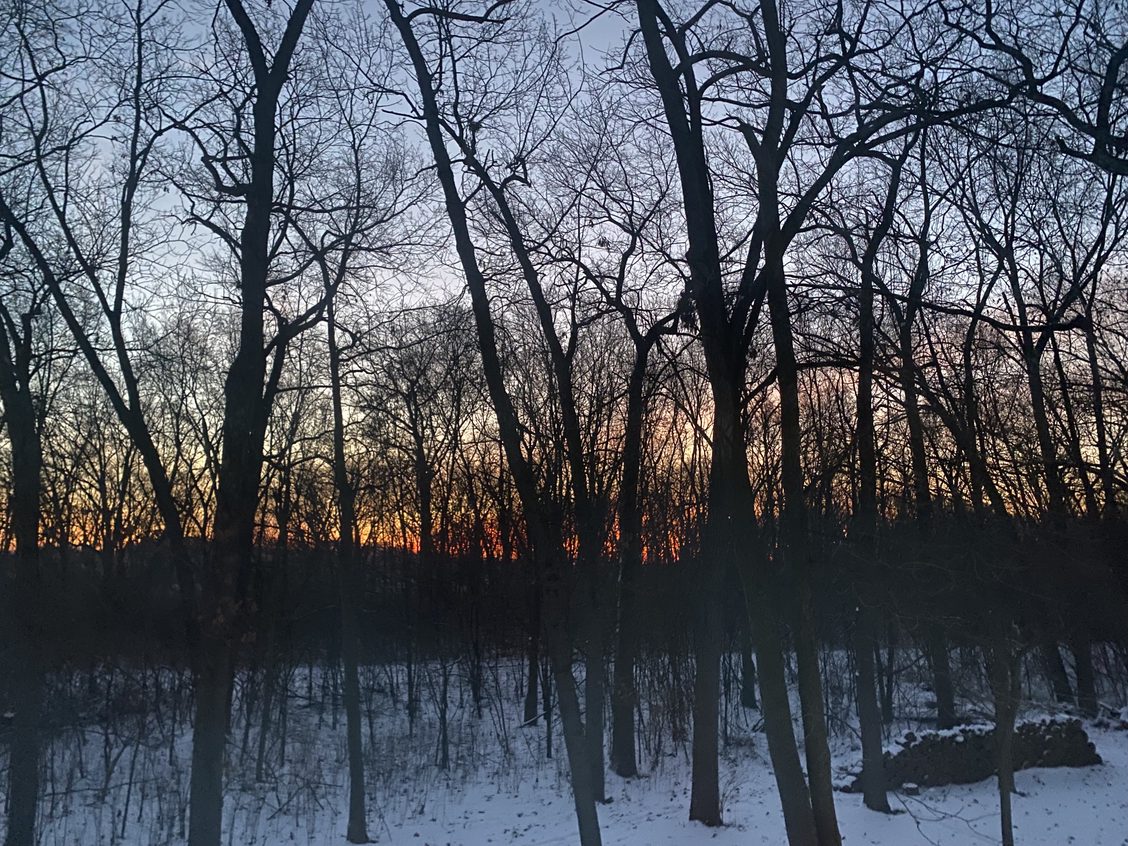 Adapt Now: January 2022 – adapt: community supported ecology